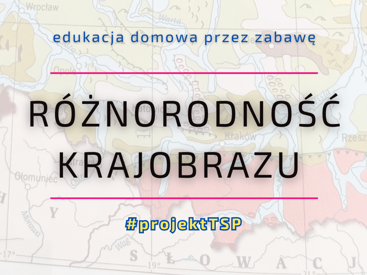 JAK OKIEM SIĘGNĄĆ – RÓŻNORODNOŚĆ KRAJOBRAZU |  projekt TSP • podsumowanie&nbsp;sierpnia
